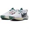 Nike Pegasus Trail 5 'Court Blue Cedar' DV3864-100 - фото 610683