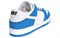 Nike SB Dunk Low Ishod Wair Blue Spark 819674-410 - фото 611237