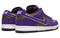 Nike Sb Dunk Low Purple Safari 313170-200 - фото 611277