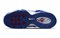 Nike Air Griffey Max 1 Usa GS 2022 DX3724-100 - фото 613303