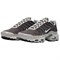 Nike Air Max Plus Anti Slip Wear Resistant Low Top Casual Running Shoes Men's Gray IB7679-200 - фото 623898