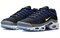 Nike Air Max Plus Black Royal Grey DH4776-003 - фото 623904