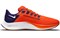 Nike Air Zoom Pegasus 38 Clemson Tigers DJ0819-800 - фото 624416