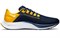 Nike Air Zoom Pegasus 38 Michigan DJ0838-400 - фото 624422