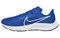 Nike Air Zoom Pegasus 38 Tb 'Game Royal' CZ1893-403 - фото 624445