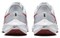 Nike Air Zoom Pegasus 39 'Platinum Tint Light Crimson' DH4071-009 - фото 624471