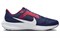 Nike Air Zoom Pegasus 40 'USA USWNT' FN0096-401 - фото 624502