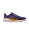 Nike Air Zoom Pegasus 41 Lsu FZ5126-500 - фото 624530