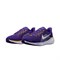Nike Air Zoom Pegasus 41 Lsu FZ5126-500 - фото 624531