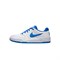 Nike Low Top Skateboard Shoes Men's Blue White FB1362-105 - фото 626943