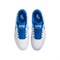 Nike Low Top Skateboard Shoes Men's Blue White FB1362-105 - фото 626946