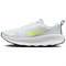 Nike Promina Pure Platinum Black Volt FV5285-004 - фото 627355