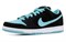Nike Sb Dunk Low Clear Jade 304292-030 - фото 628080
