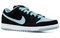 Nike Sb Dunk Low Clear Jade 304292-030 - фото 628081