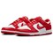 Nike Dunk Low Next Nature St. John's Women's DD1873-116 - фото 631524